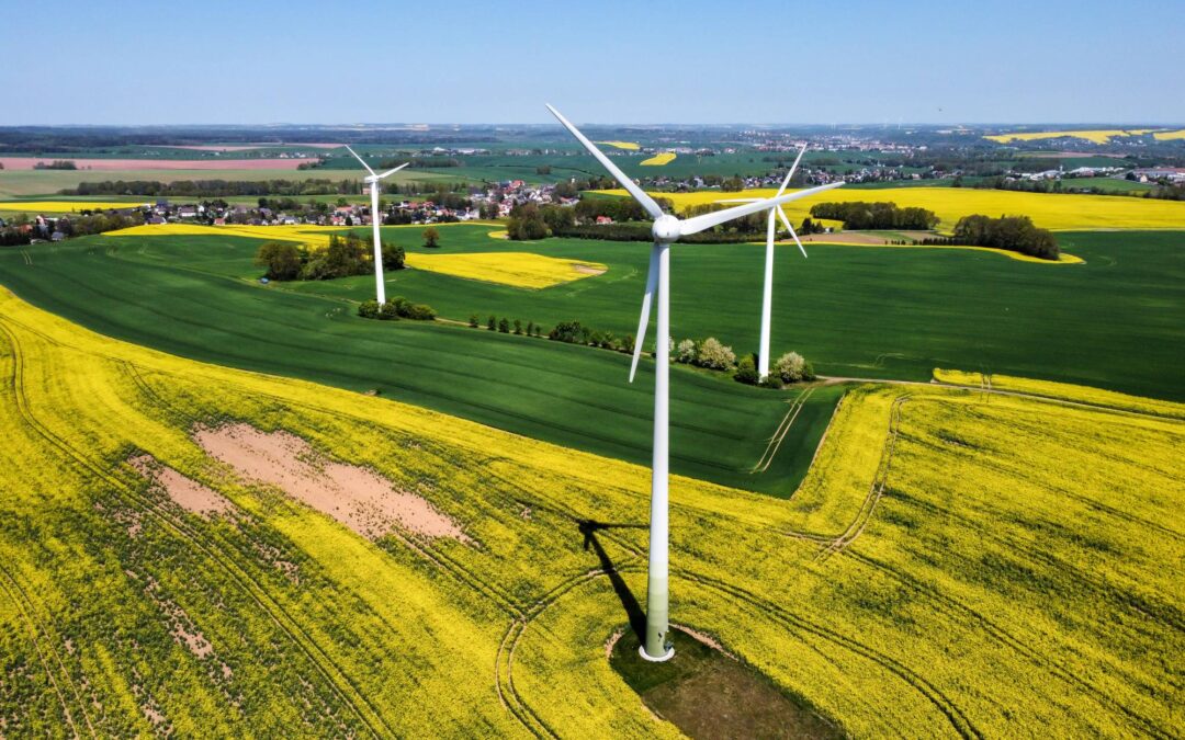 Les énergies renouvelables sont-elles vraiment propres : l’envers de la médaille